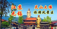 国产骚妇bb官网江苏无锡灵山大佛旅游风景区